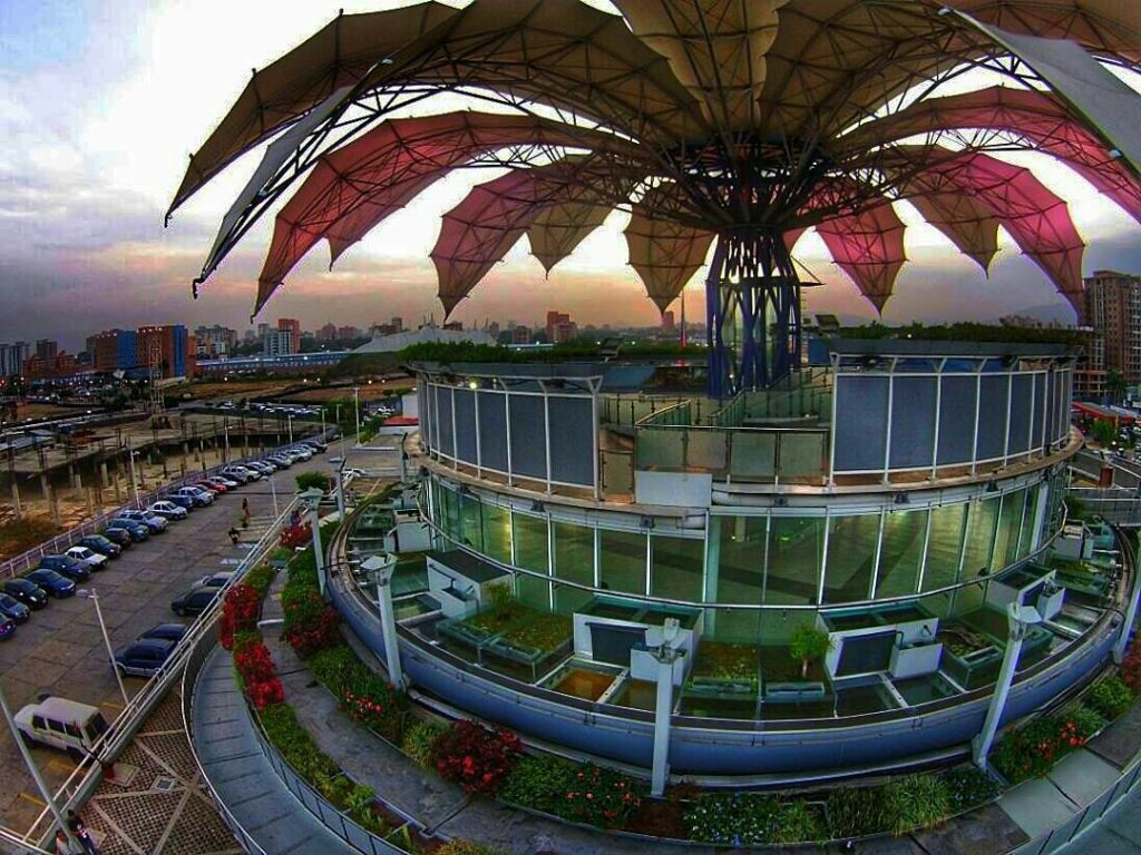 La Flor de Venezuela